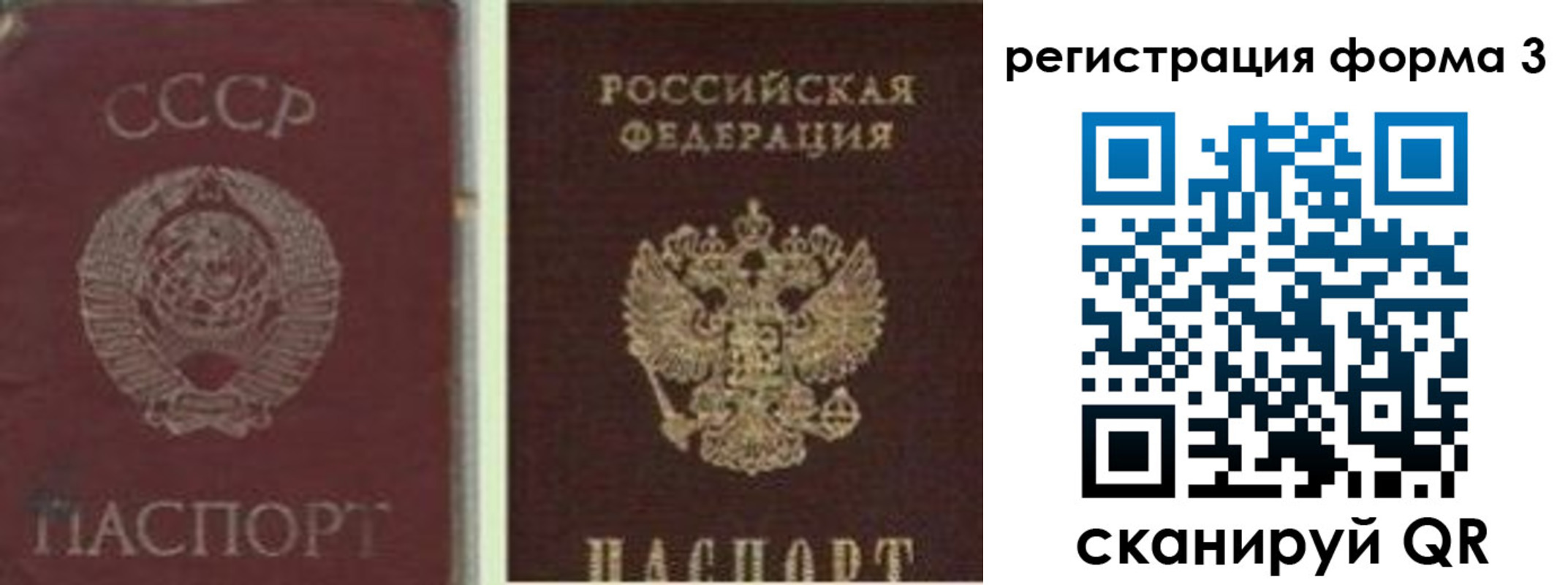прописка для школы в Заречном